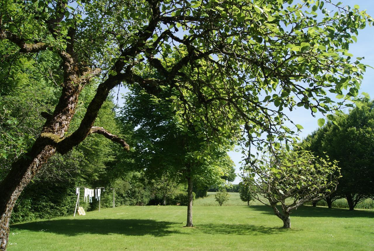 Le Lac Aux Fees Henrichemont Buitenkant foto
